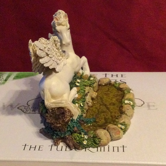 Small Pegasus - Picture 4 of 8